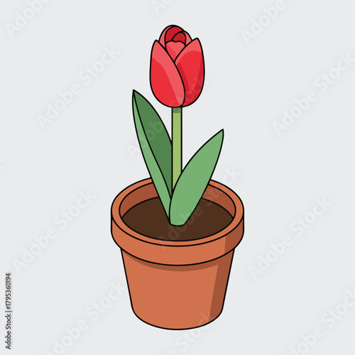 Vibrant red tulip blooms in terracotta pot, bringing natural beauty indoors