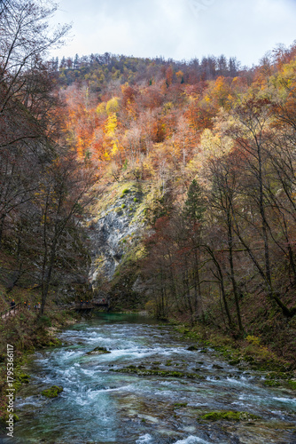 The Radovna River creative  impressive landscapes of Vintgar gorge in Triglav National Park in Slovenia.