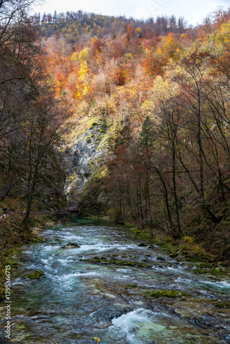 The Radovna River creative  impressive landscapes of Vintgar gorge in Triglav National Park in Slovenia.