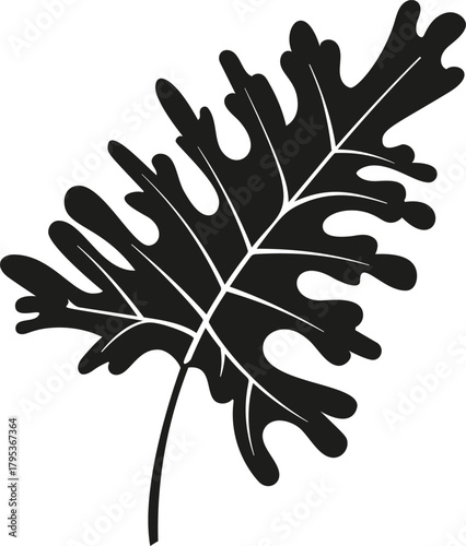 Black silhouette leaf presenting natural abstract design