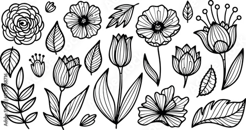 Hand drawn black and white floral elements with leaves and flowers vector set for design and decoration