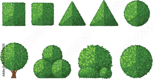 Set of trimmed green bushes and topiary shapes in geometric and natural forms for landscaping, gardening, and decorative outdoor design.