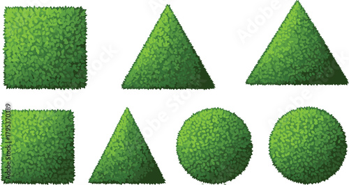 Geometric topiary bushes in garden design, featuring square, triangle, and circle shapes with lush green leaves and natural landscaping symmetry