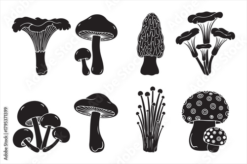 Assorted mushroom silhouettes isolated on white background Vector, illustration
