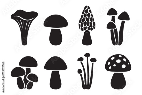 Collection of eight black mushroom silhouettes on a white background. Vector, illustration