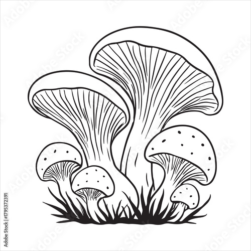 Line art illustration of a cluster of mushrooms growing in grass Vector, illustration