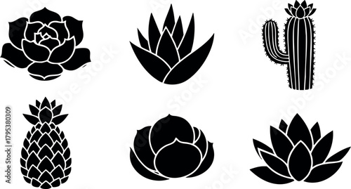 Succulent and cactus plant vector icons set with tropical and desert styles in black silhouette design