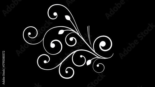Elegant white flourish on black background, perfect for elegant wedding invitations or luxury branding projects