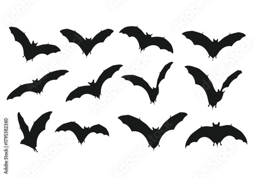 Bat silhouettes collection for halloween design