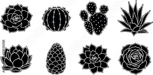 Black silhouette cactus and succulent vector collection with various desert plants and aloe designs for nature themes