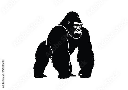 Gorilla black and white illustration