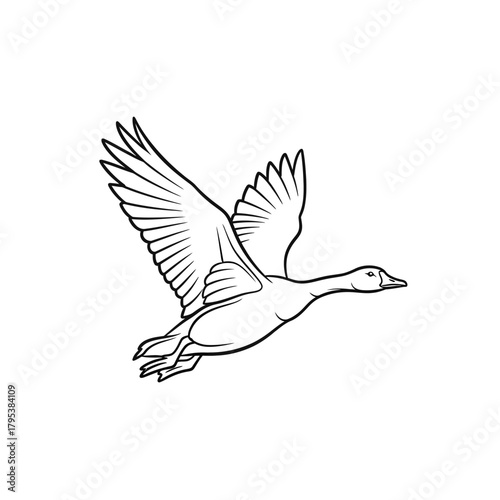 A black and white line art illustration of a wild goose soaring through the air with its wings spread.