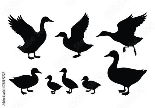 Duck and duckling silhouettes