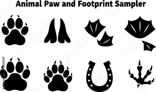 Animal paw and footprint sampler with various wildlife track silhouettes for nature and tracking design projects vector illustration
