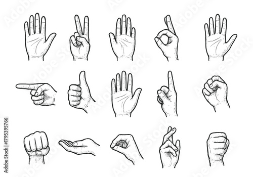 Hand gestures collection, flat vector illustration in simple monochrome style