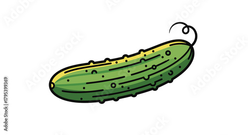 A ripe green cucumber with raised bumps and a curly stem isolated on a white background.