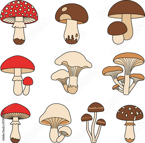 Hand Drawn Style Edible and Poisonous Mushroom Set Vector