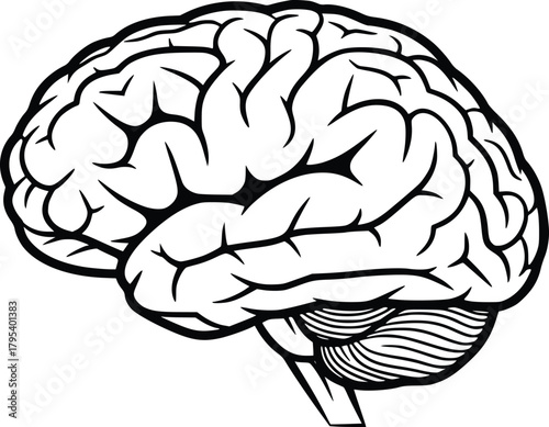 Black and White Vector Icon of Human Brain in Side View Representing Anatomy and Neuroscience