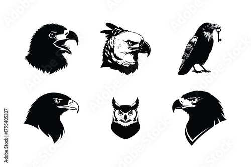 Six powerful eagle and owl head illustrations showcasing various birds of prey in a bold black silhouette style