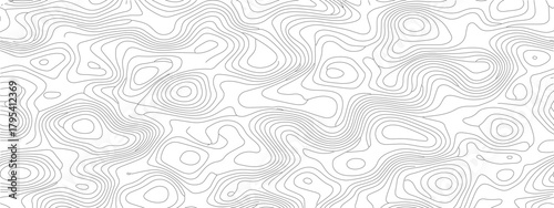 Abstract Topographic Contour Lines Pattern.