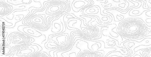 Abstract white background with light gray topographic contour lines.