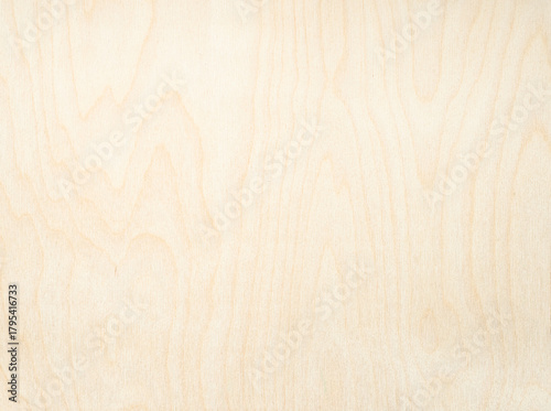 surface of natural birch plywood board
