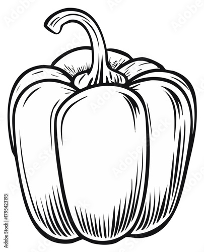 Classic Bell Pepper Vegetable Drawing Outline