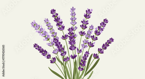 Charming lavender blooms bouquet in an elegant design, floral essence