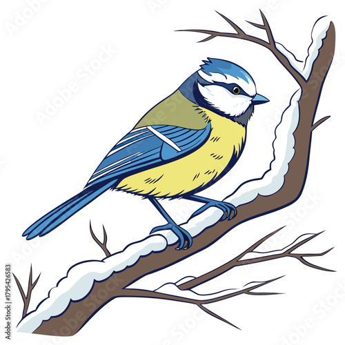 Illustration of a blue tit bird perched on a snow covered tree branch in winter
