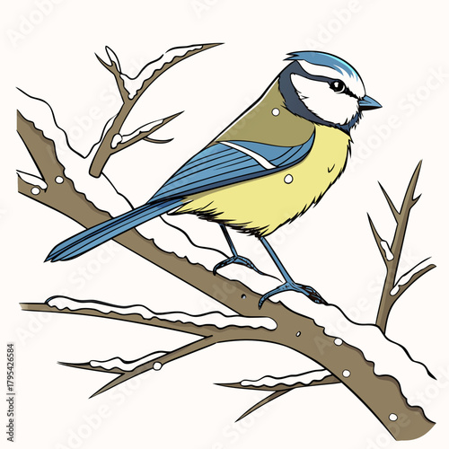 A charming blue tit bird perched on a snow covered branch in a winter scene