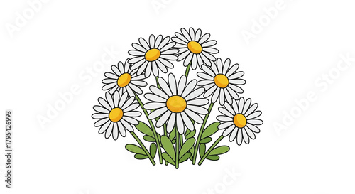 Floral illustration of a bouquet of daisies isolated on a white backdrop