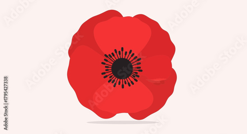 Vibrant Red Poppy Flower Illustration with Delicate Petals and Dark Center