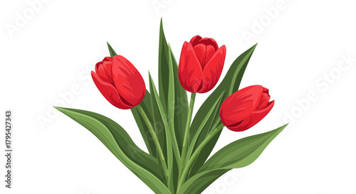 Vibrant Red Tulips Bouquet on White Background for Floral Designs