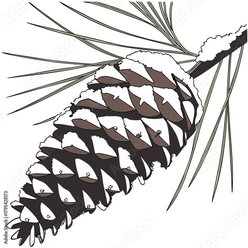 A detailed illustration of a pine cone covered in fresh snow resting on a pine branch with needles