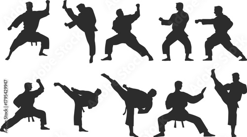 silhouettes of kogfu  people