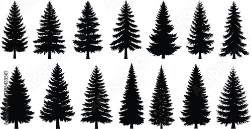 Evergreen tree silhouettes, conifer shapes, forest icons, pine outlines, botanical illustration, nature graphic, black trees, vector trees, isolated trees, tree collection