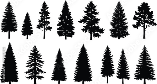 Silhouettes of coniferous trees, evergreen forest shapes, pine and fir outlines, botanical diversity, nature illustration, forestry design, isolated elements