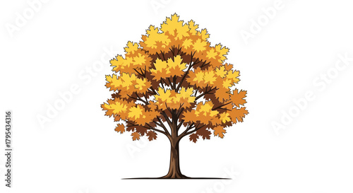 A Vibrant Yellow Maple Tree in Full Autumn Glory on White Background