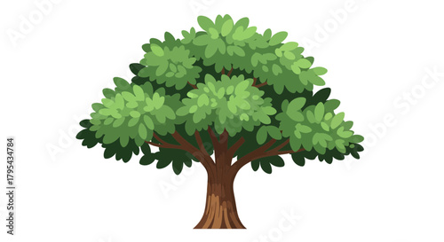 Illustration of a lush green tree with a well defined trunk and foliage