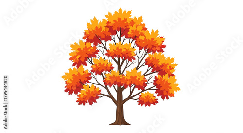 Illustrative autumn tree with vibrant orange foliage against white backdrop