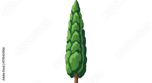 Isolated cartoon cypress tree, stylized nature, botanical design element