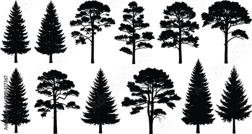 Tree silhouettes, black foliage, isolated trees, botanical shapes, forest elements, nature icons, diverse tree types, vector trees, graphic illustration, design assets