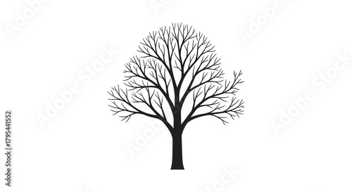 Stylized bare tree silhouette against a clean white backdrop illustration