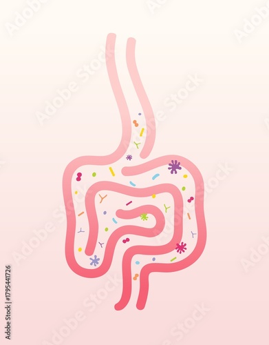 Intestinal microflora vector