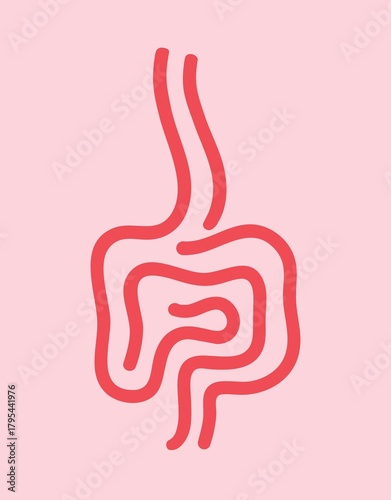 Digestive system icon, small intestine and large intestine, digestive system