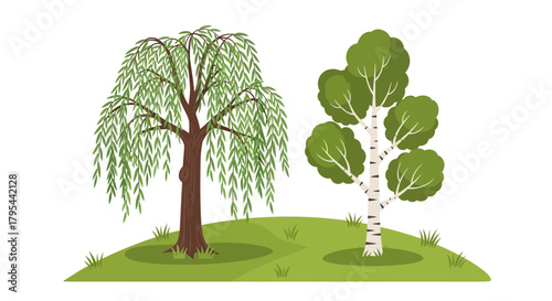 Stylized willow tree and birch standing side-by-side on a green hill