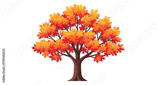 Vibrant autumn tree with colorful foliage against a clean white backdrop