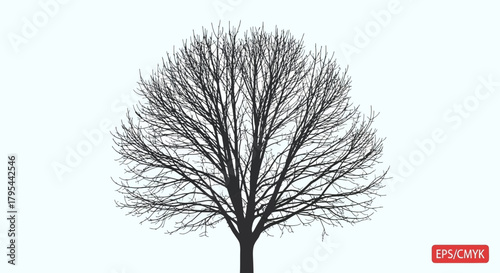 Silhouette of a bare tree against a light background creating minimalist vibe