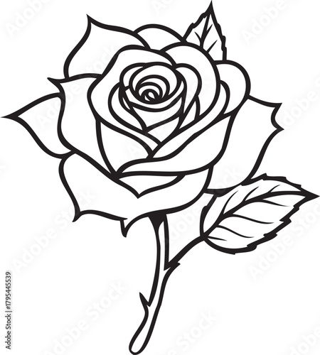 Realistic single rose with dew on petals, thorns visible, studio shot