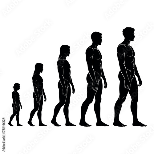 Silhouettes of human figures show the progression of growth and aging from childhood to adulthood.